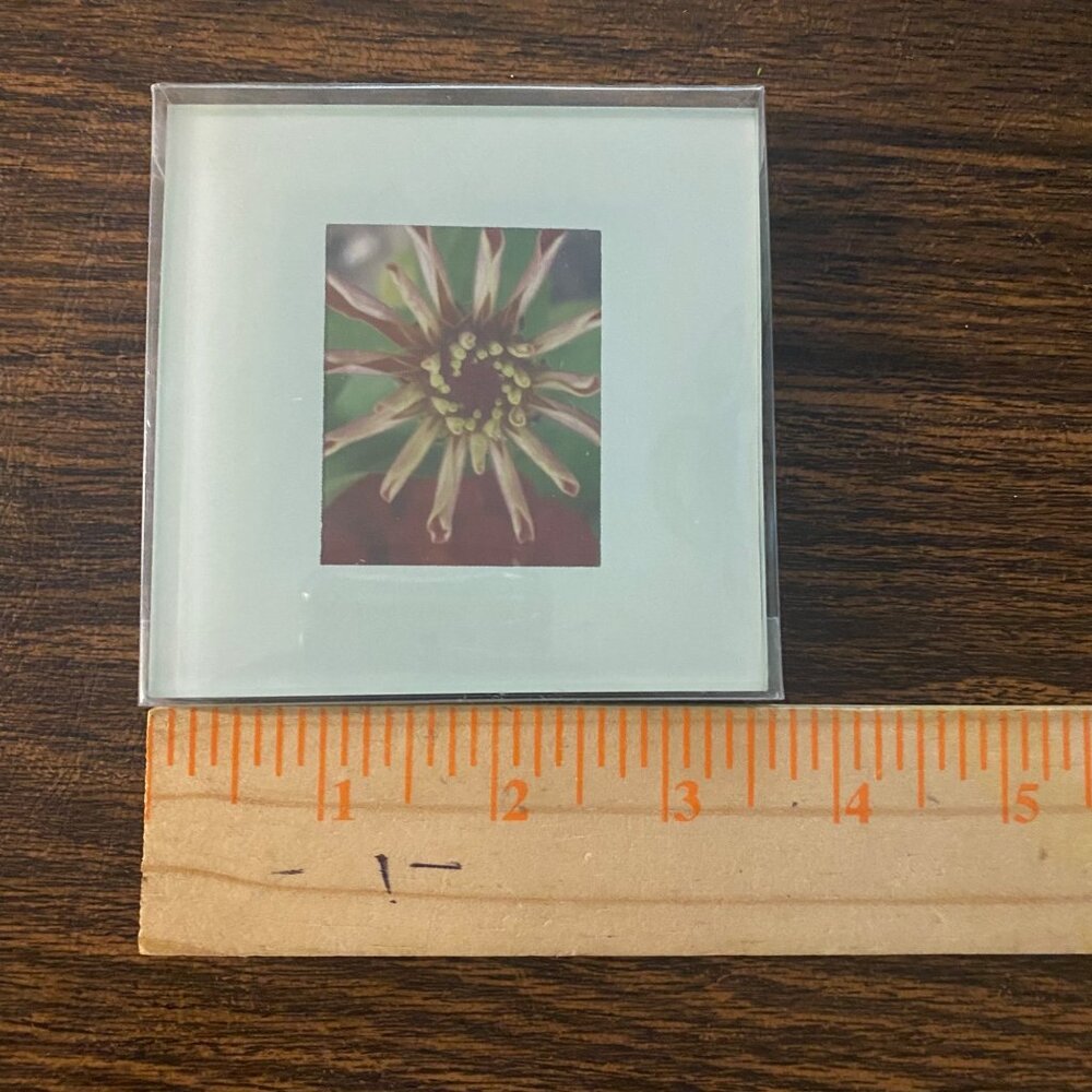 Kate Aspen Picture‎ Photo Frame Glass Coasters 3.5”x3.5” 2 Piece Set 2008 NEW
